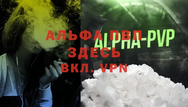 спиды Каменск-Шахтинский