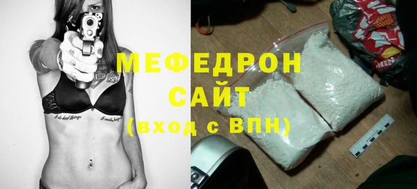 гидра Каменка