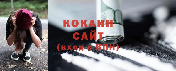 гидра Каменка