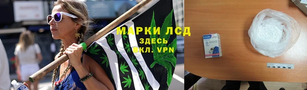 гидра Каменка