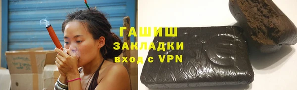 гидра Каменка