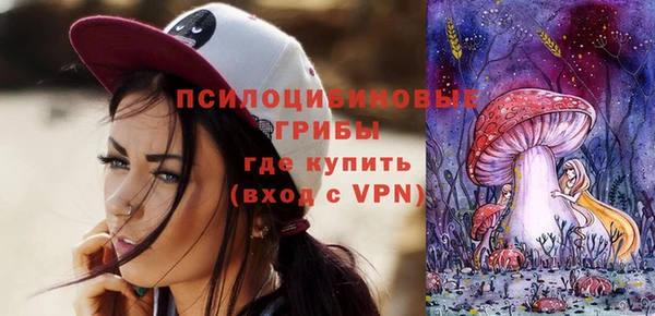 гидра Каменка