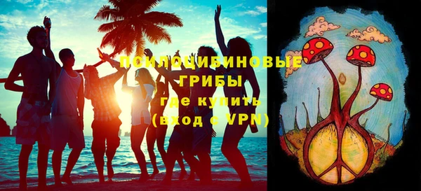 гидра Каменка