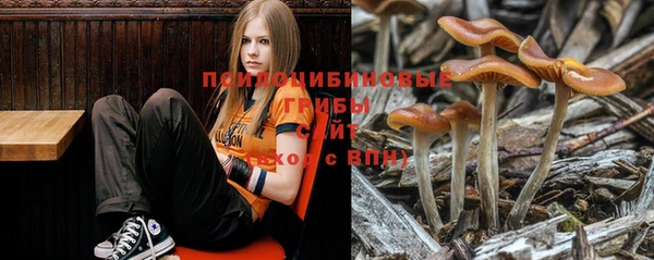 спиды Каменск-Шахтинский
