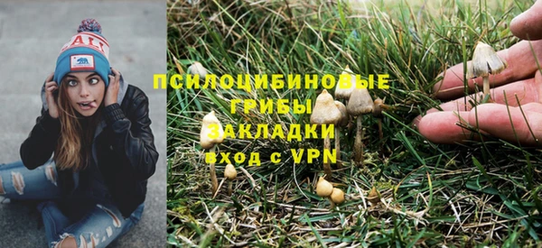 гидра Каменка