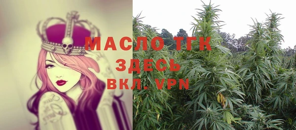 гидра Каменка