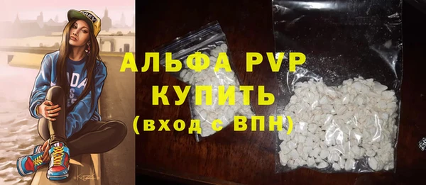гидра Каменка