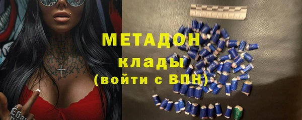 гидра Каменка