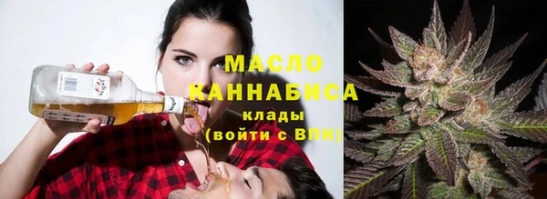 гидра Каменка