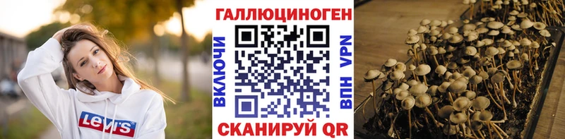 Галлюциногенные грибы мухоморы  Шелехов 